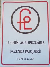 FAZENDA PAIQUERE - 