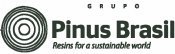 Pinus Brasil - 