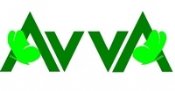 Avva - 