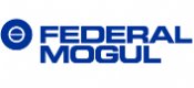 Federal Mogul - 